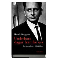 Underbara dagar framför oss, Henrik Berggren