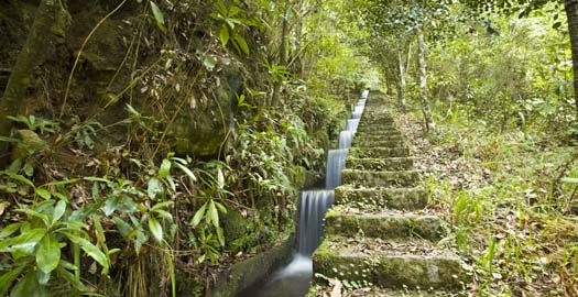 Madeira – Guds paradis