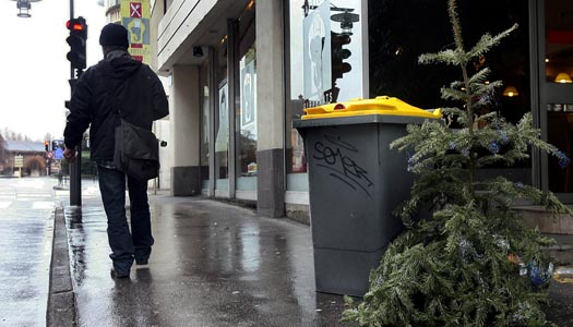 Så gör du dig av med granen