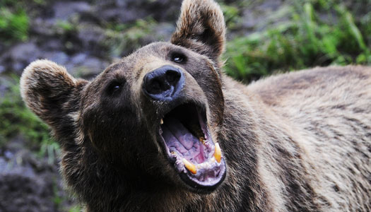 Inflation i bakgrundsmusik