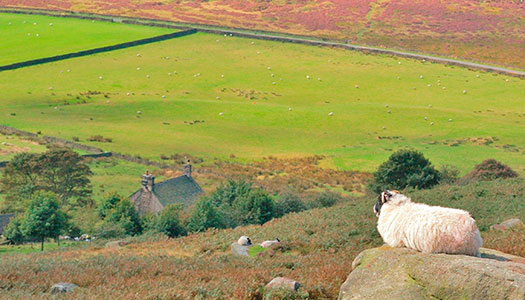 Peak district – England the english way