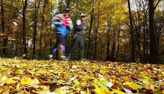 Sportig september när SPF ordnar SM