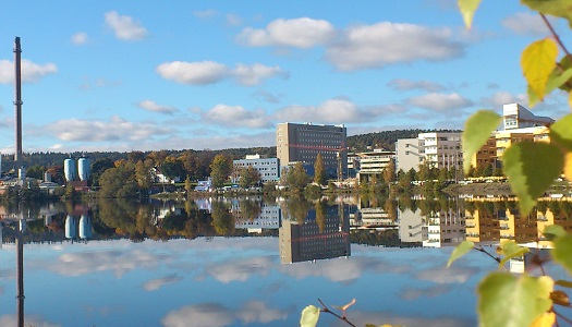 Så många ombud får ditt distrikt