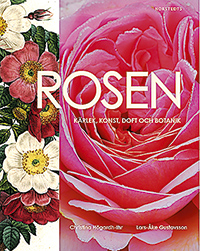 Rosen