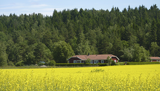 Är Sverige ett rikt land?