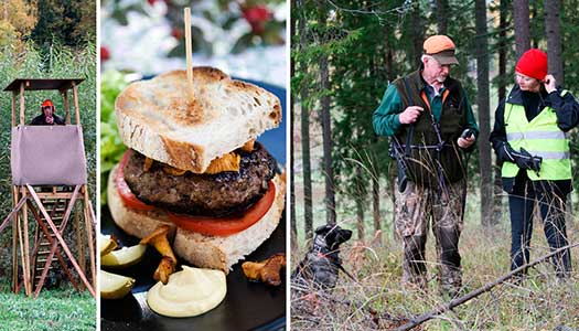 Upplev vilt – i skog och på bord