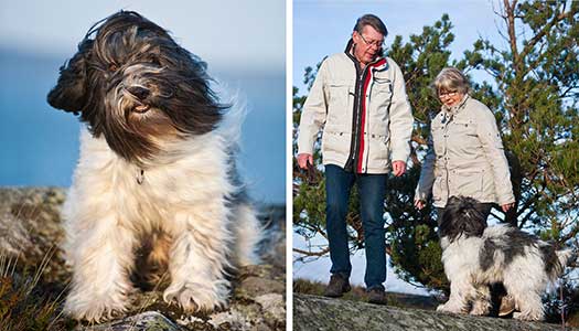 Äntligen egen hund!