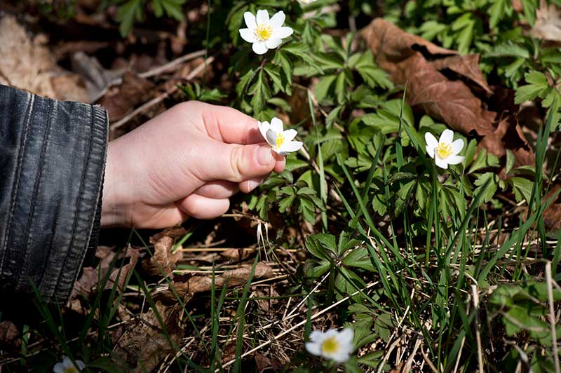 Upplev naturen i vår