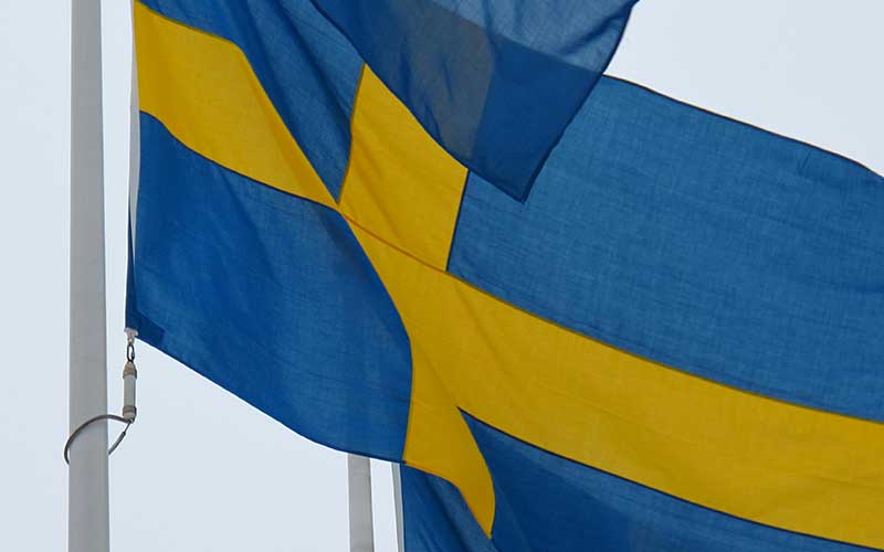 Sverige kan bli sex regioner