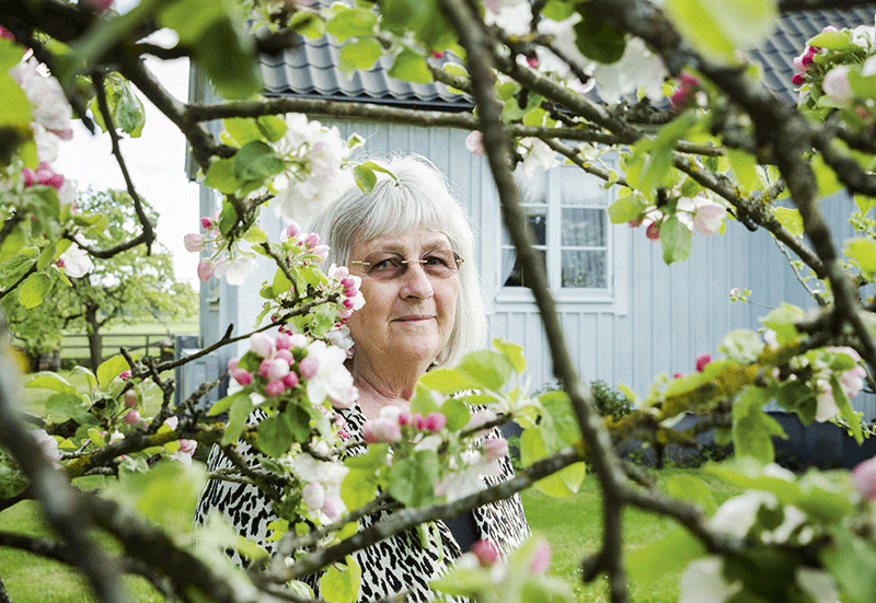 Barbro Lindgren: ”Jag vill göra färdigt”