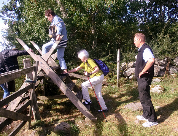 50 kullor och masar intog Gotland