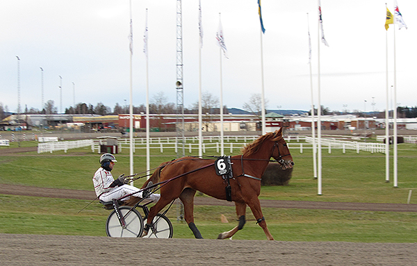 Lunchtrav på Romme