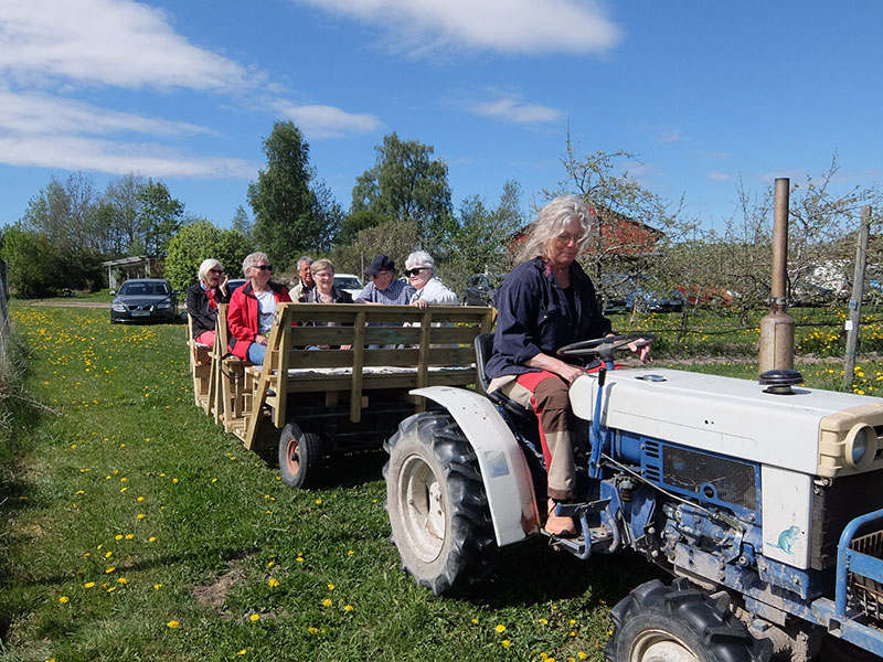 Herrevad besökte Bergs fruktträdgård