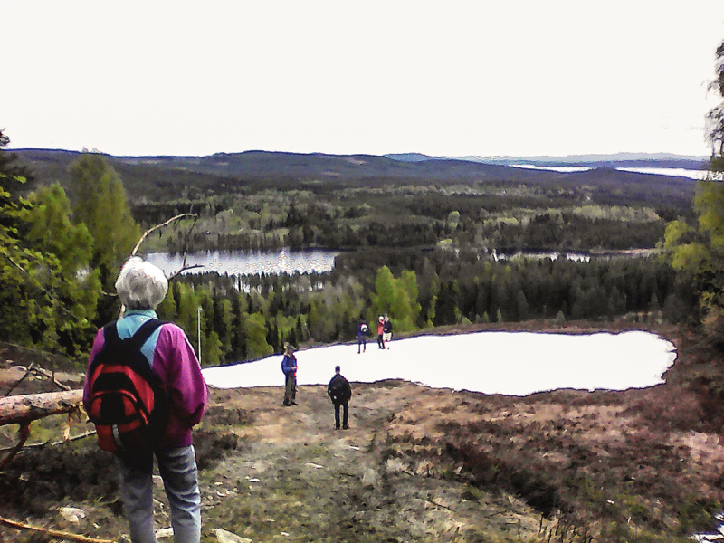 Skogsvandring på Bjursberget