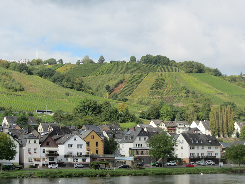 Falun reste till Champagne, Moseldalen och Pfalz