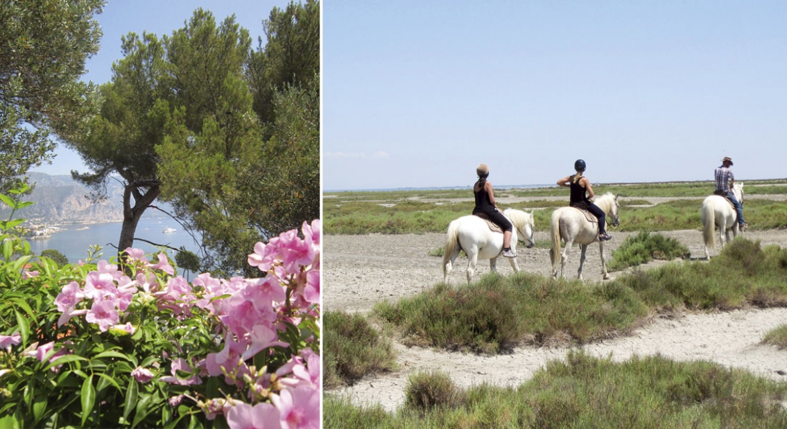 På egen hand i Provence