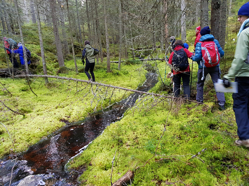 Första långvandringen – Sörskog