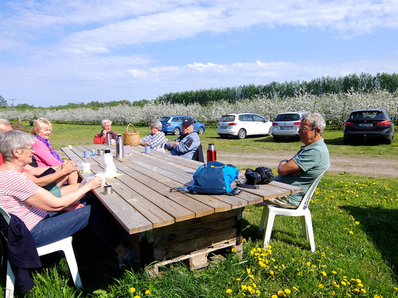 SPF Herrevad på studiebesök Bergs trädgård