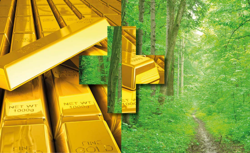 M%C3%A5nga+l%C3%B6ften+till+seniorerna