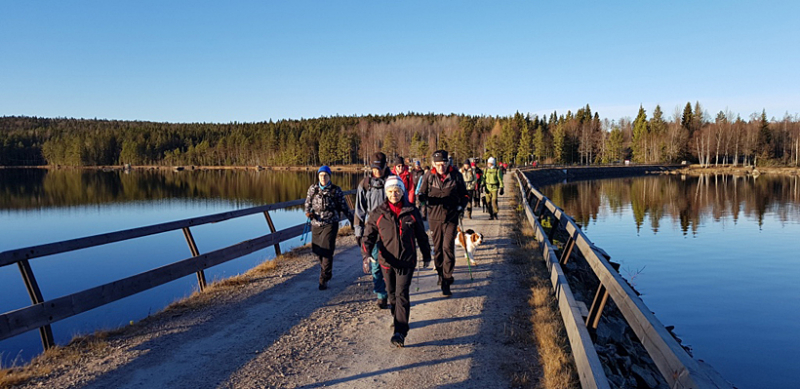 En vandring i fullt solsken med rekorddeltagande