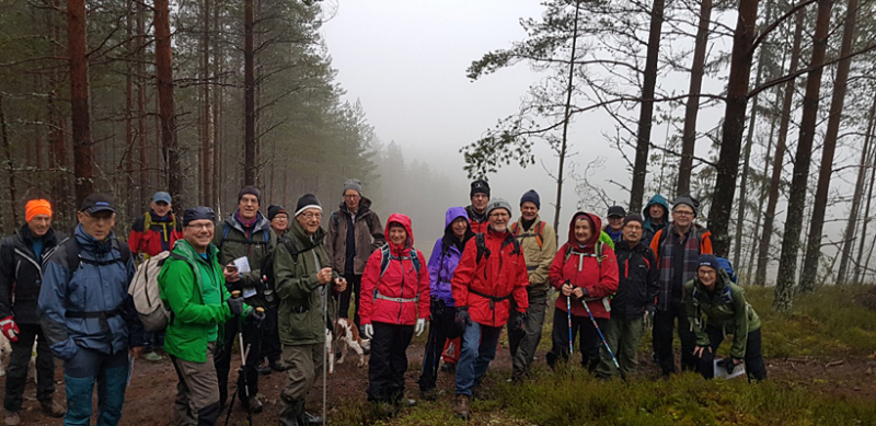 Långvandring i de vackra skogarna