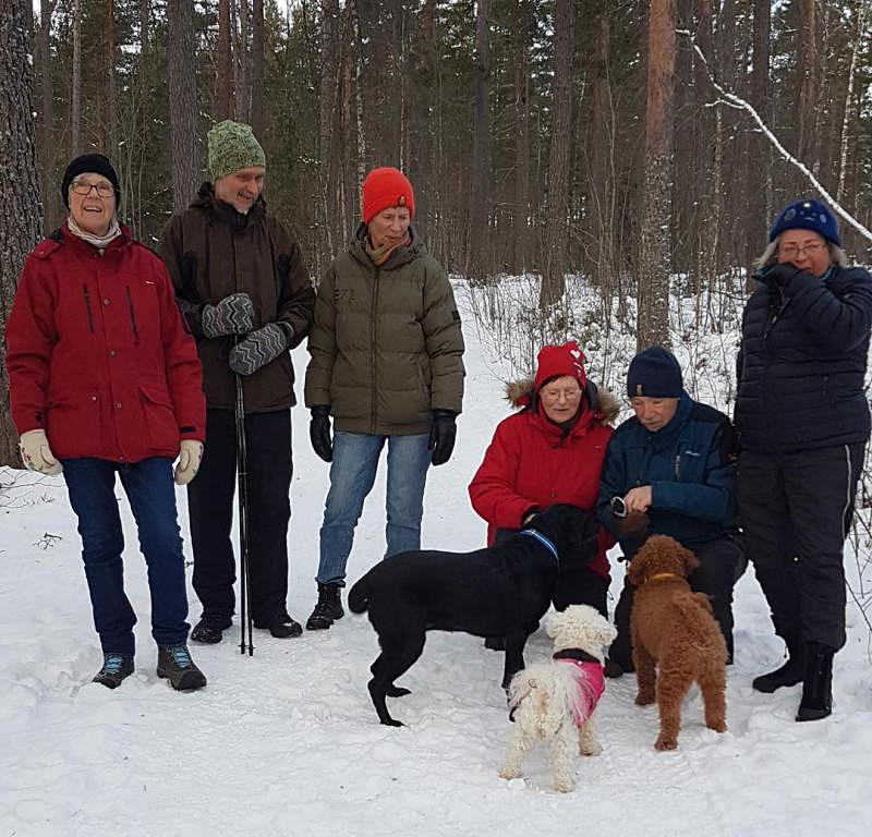 Skidåkning och vintervandring