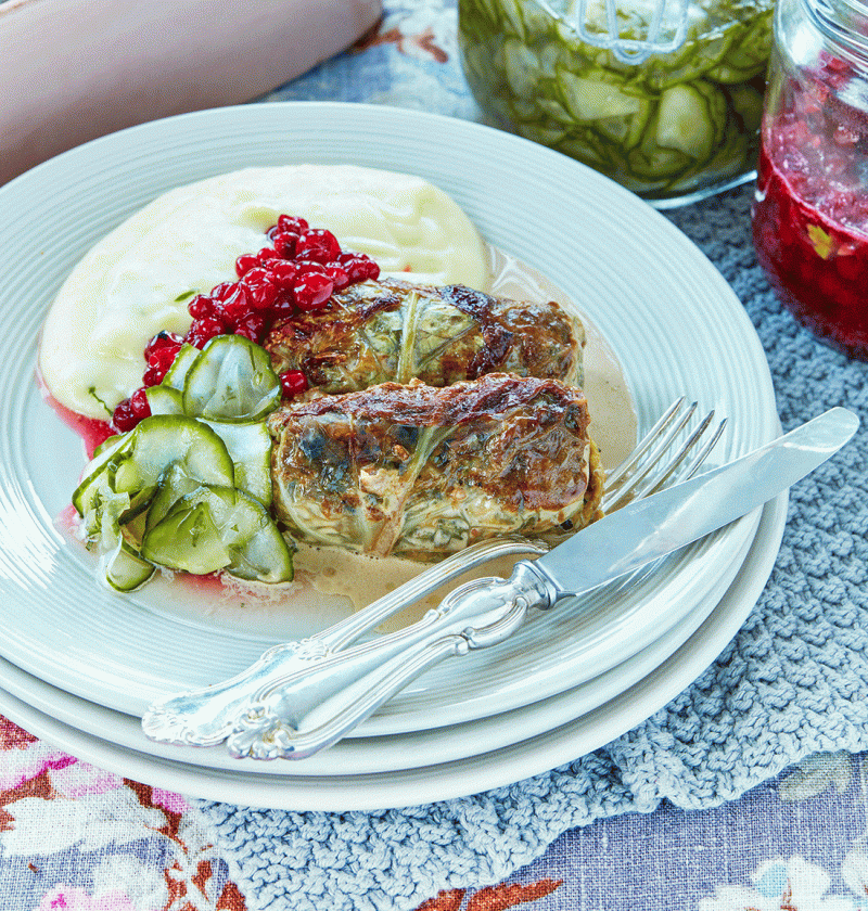 Vegetariska kåldolmar på frasig savoykål