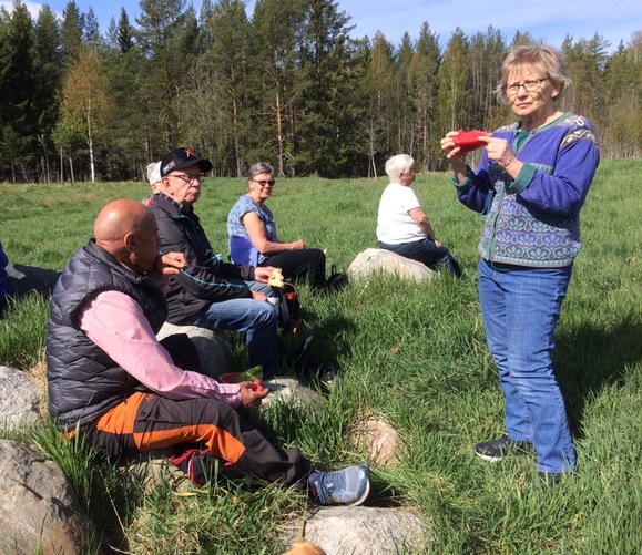 Solsken och regn på vårens skogsvandringar hos SPF Seniorerna Falun