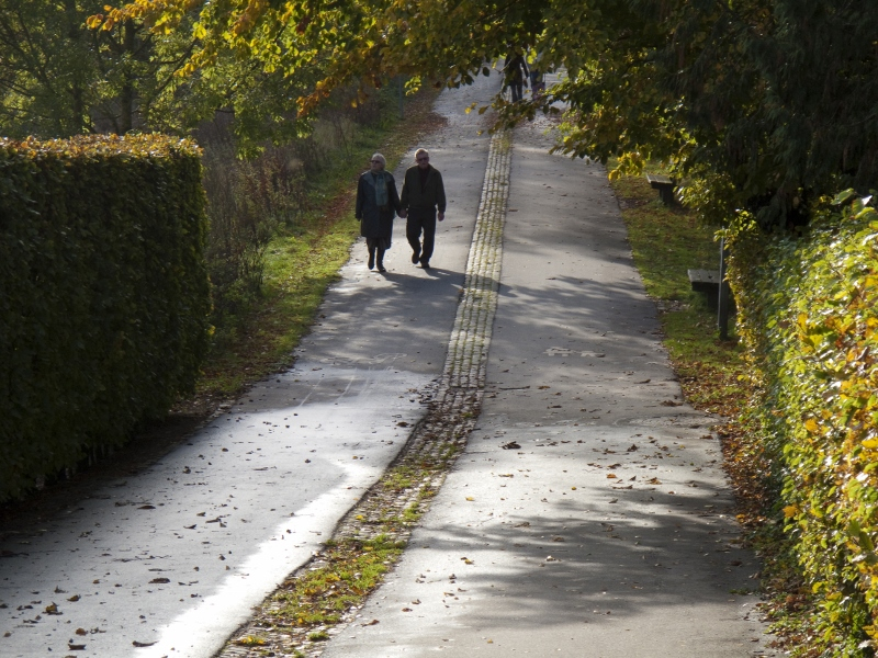 Svaga pensioner i Sverige efter 65