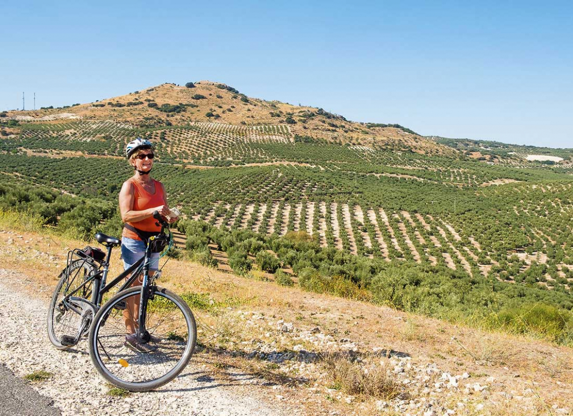 På cykel bland olivträden