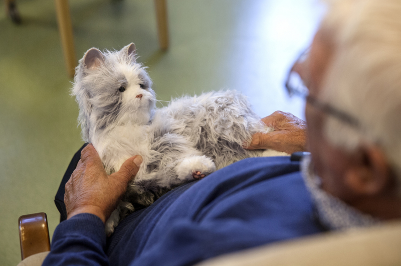 Nu+flyttar+robot-katterna+in