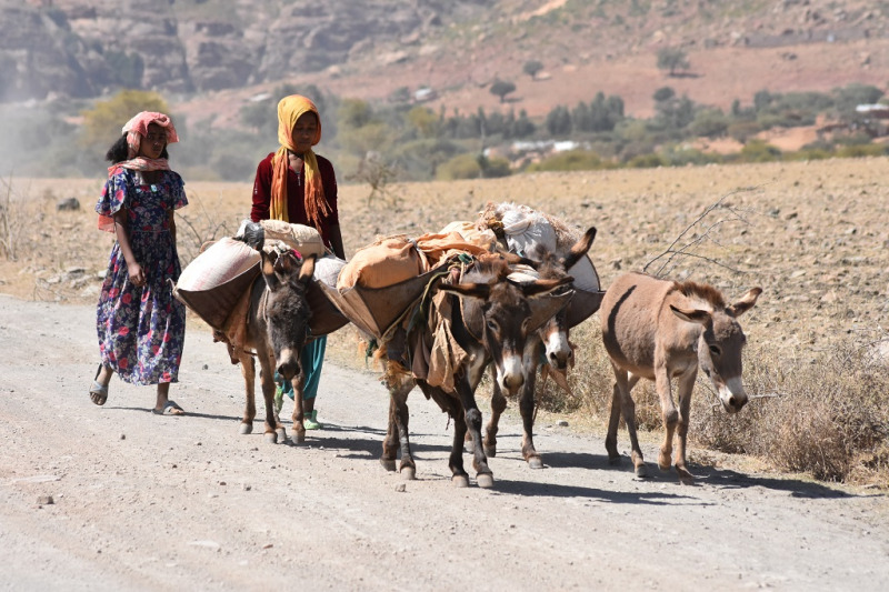 Gränstrakterna mot Eritrea, provinsen Tigray