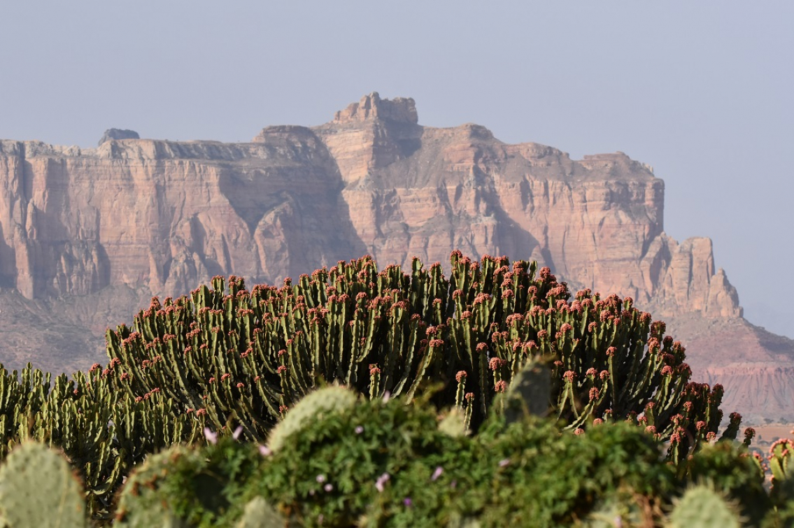 Res till Afrika genom Sven Gruvstads bilder