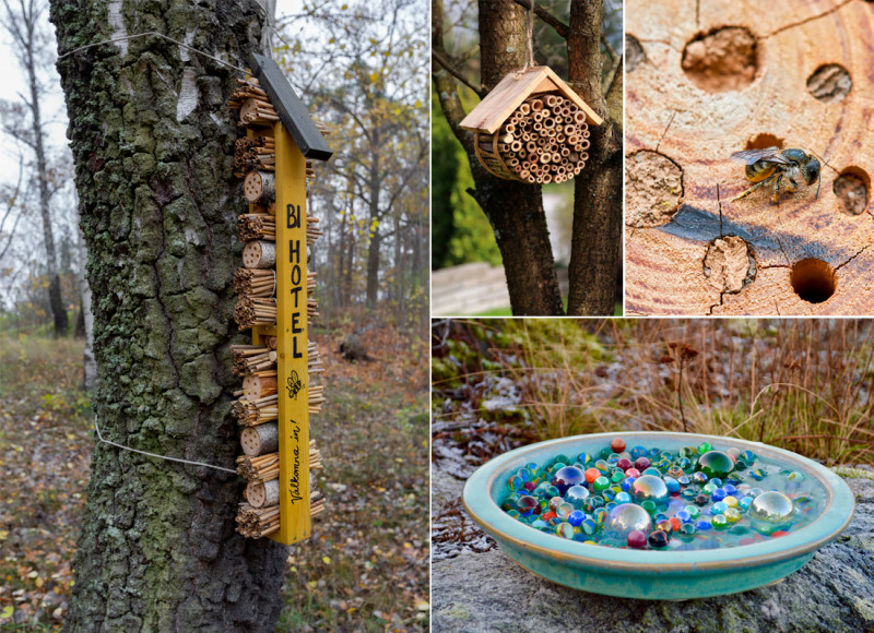 Binas+sak+%C3%A4r+v%C3%A5r