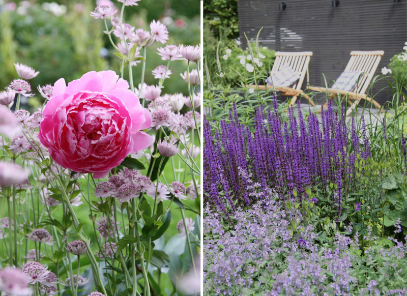 Ge+din+rabatt+nytt+liv