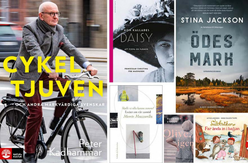 Boktips+%26%238211%3B+K%C3%A4rlek%2C+sp%C3%A4nning+och+cykeltjuvar