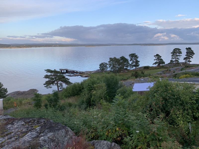 En coronasommar med en utvärdering av de första månaderna med covid-19