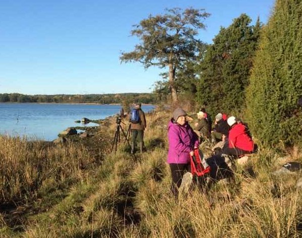 Höstens sista fågelskådning vid Mosstorp 201016.