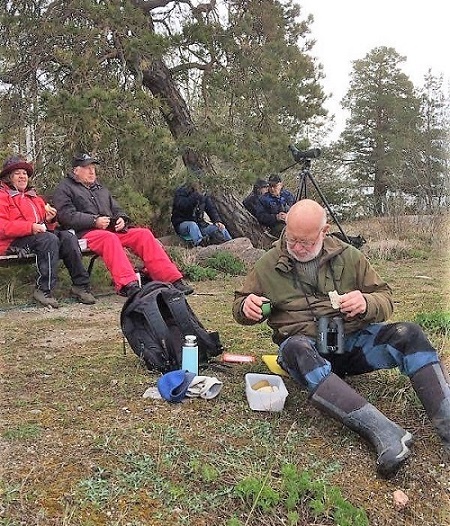 Fågelskådarna besökte Hummelvik den 22 april 2021.