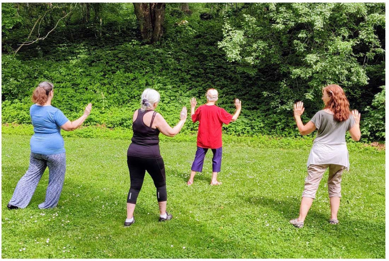 Sommar Tai Chi i Rhododendrondalen