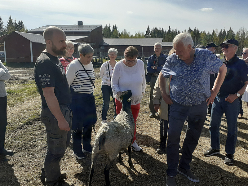 Bussutflykt till mäktig fors och fåruppfödning