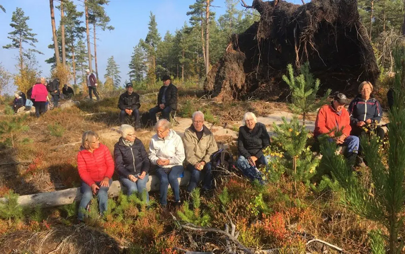 Vandring runt Stavsjön i Stavsjö 221014