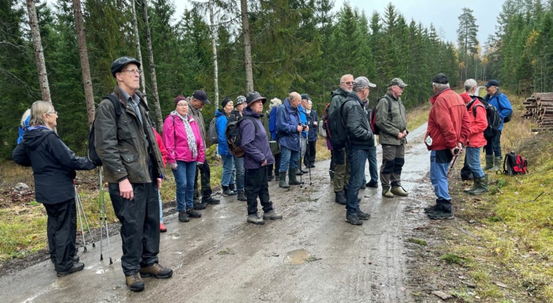 Vandring vid Fågelhyttan