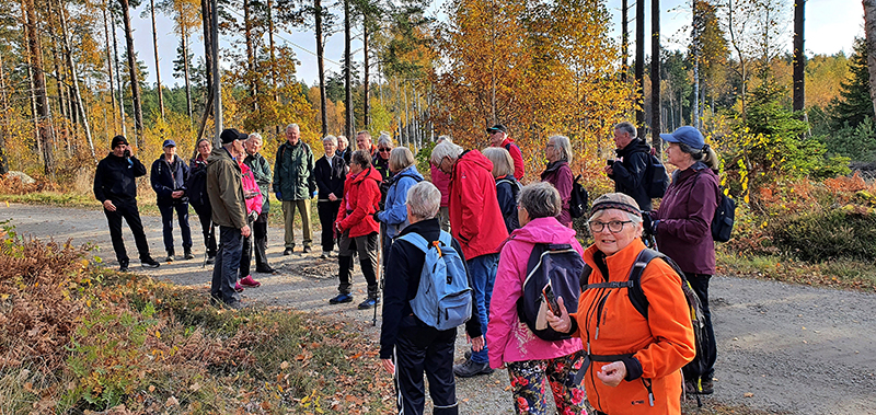 Seniorer på kul turvandring med Ludvig XVII