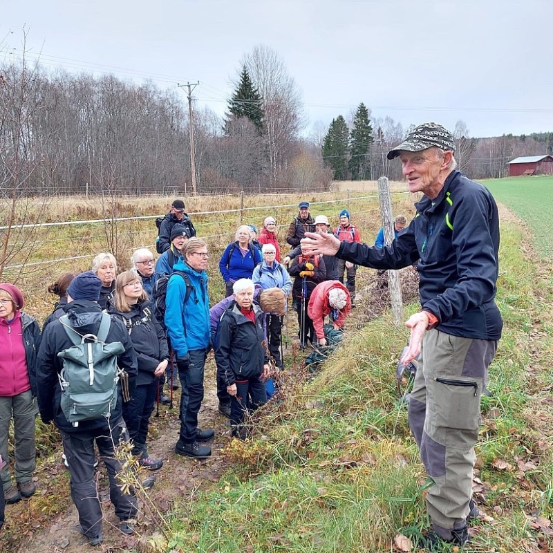 Vandring Säterdalen – Bispbergs klack