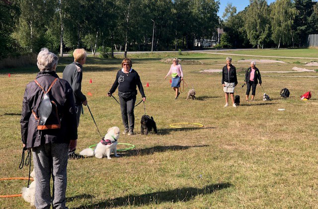 Fint pris en tidig julklapp: ”Hoppas det kan uppmuntra fler”