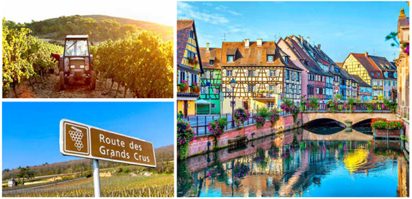 Vinets ABC: Alsace, Bourgogne och Champagne