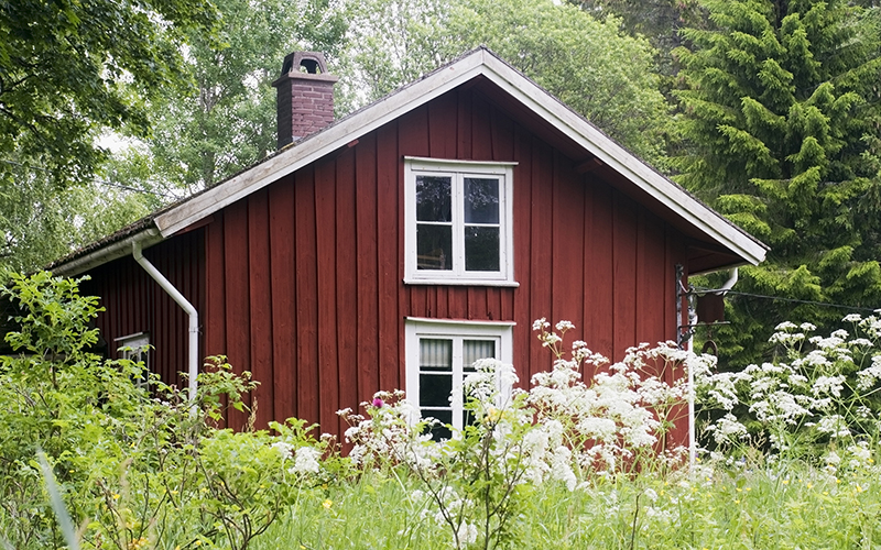 Fräs rot med rut