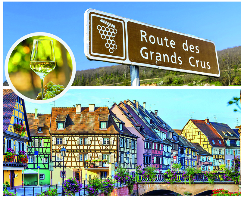 Vinets ABC: Alsace och Champagne