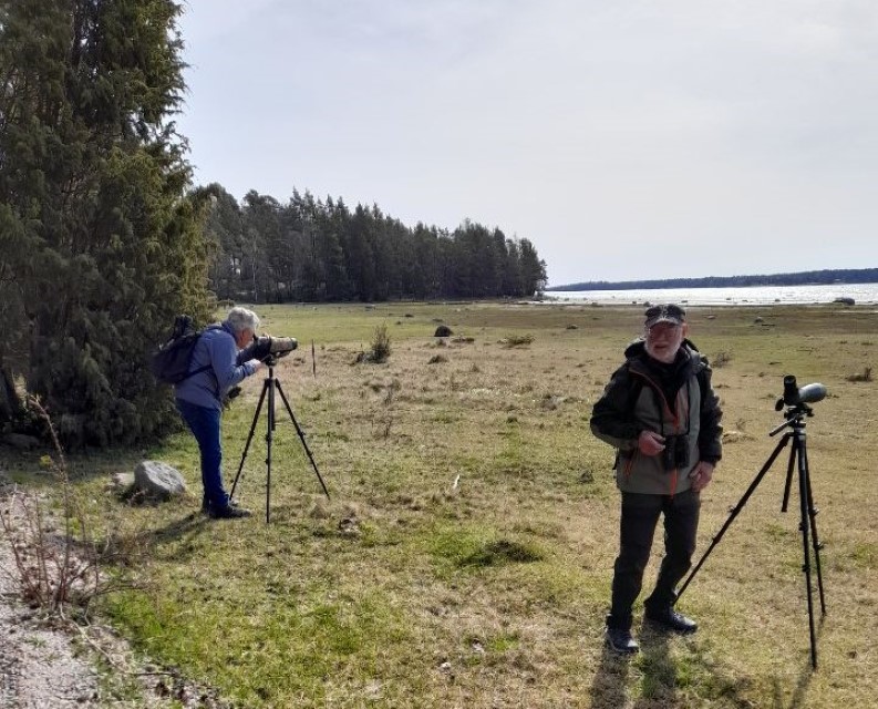 Fågelskådning vid Strandstuviken